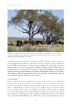 visit page 137