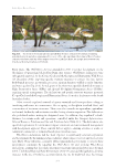visit page 227