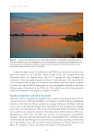 visit page 235