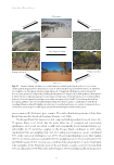 visit page 65