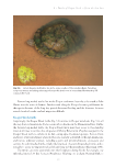 visit page 78